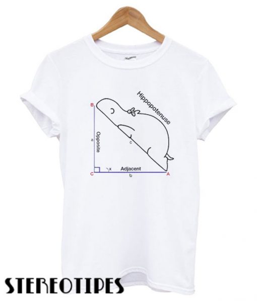 Math Humor T shirt