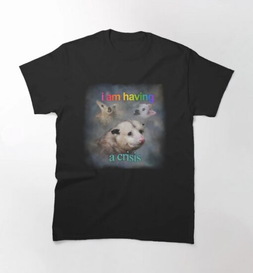 I am having a crisis possum word art T-Shirt thd